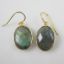Wholesale Bezel Gemstone Oval Pendant Earrings - Gold Plated Hooks - Labradorite