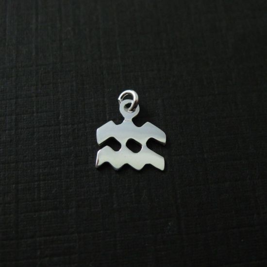 Wholesale Sterling Silver Zodiac Horoscope Charms, Charms and Pendants for Jewelry Making, Wholesale Findings