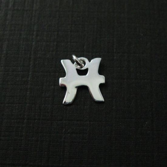 Wholesale Sterling Silver Zodiac Horoscope Charms, Charms and Pendants for Jewelry Making, Wholesale Findings