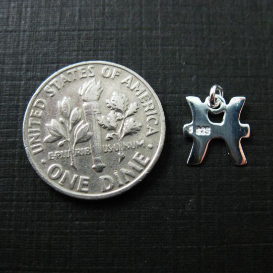 Wholesale Sterling Silver Zodiac Horoscope Charms, Charms and Pendants for Jewelry Making, Wholesale Findings