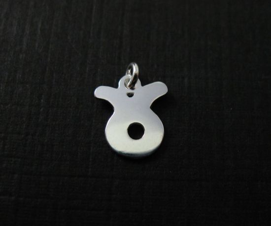 Wholesale Sterling Silver Zodiac Horoscope Charms, Charms and Pendants for Jewelry Making, Wholesale Findings