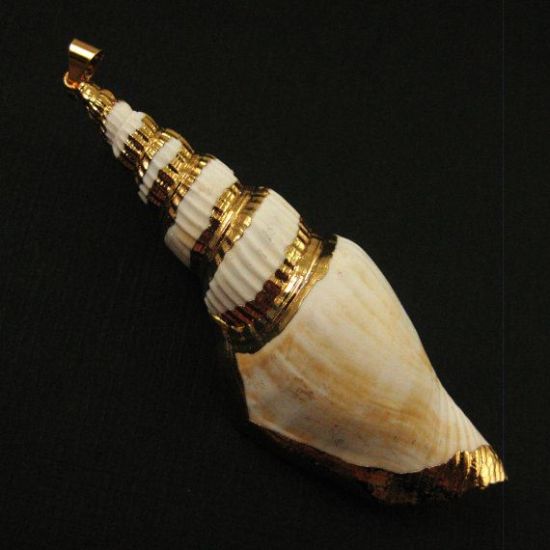Wholesale Nature Shell Pendant, Large Necklace Pendant, Gold wrapped Shell Pendant, Natural Shaded Shell with Gold Dipped Edging, 68mm