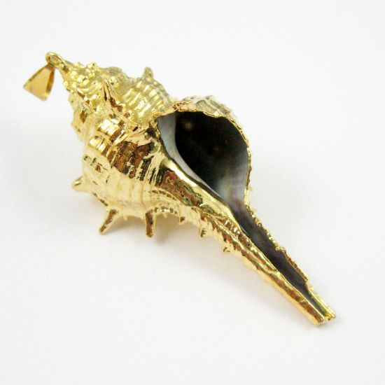 Wholesale Gold Spike Pendant,Natural Cabrits Murex Pendant, Gold plated Shell Pendant