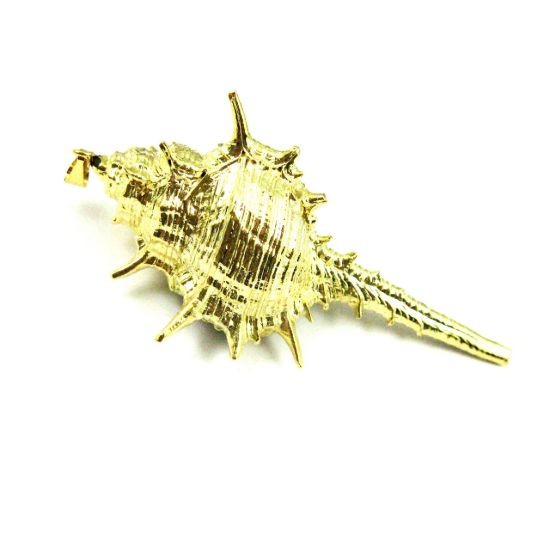 Wholesale Gold Spike Pendant,Natural Cabrits Murex Pendant, Gold plated Large Shell Pendant