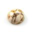 Wholesale Cabochon Brecciated Mookaite Round, 15mm, Grade A+