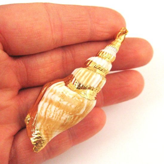 Wholesale Nature Shell Pendant, Large Necklace Pendant, Gold wrapped Shell Pendant, Natural Shaded Shell with Gold Dipped Edging, 68mm
