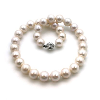 Wholesale 14K White Gold Clasp and White Freshwater Pearl Graduated Necklace-16"