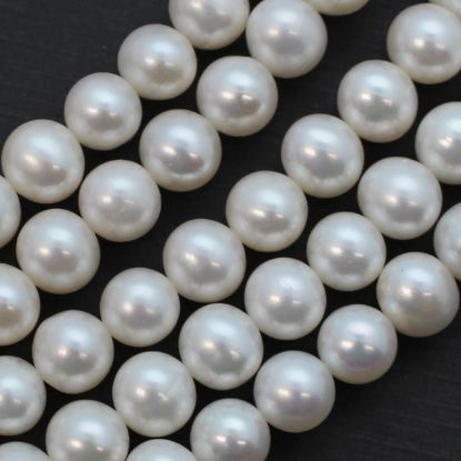 Wholesale White Freshwater Pearl Off Round 8-9mm Beads (1 strand)