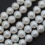 Wholesale White Freshwater Pearl Off Round 8-9mm Beads (1 strand)