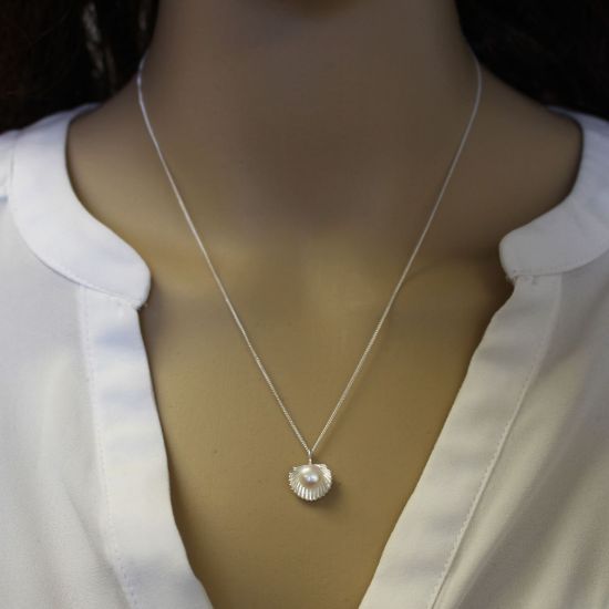 Wholesale Sterling Silver White Freshwater Pearl Clam Shell Pendant Necklace-18"