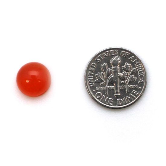 Wholesale Cabochon Carnelian Round, 10mm, Grade A+