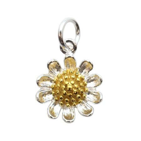 Picture for category Flower and Plant Charms