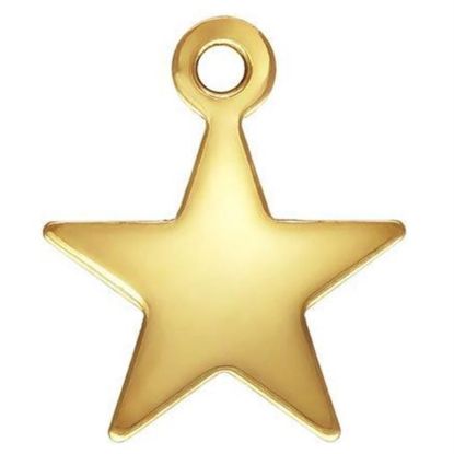 Wholesale 1/20 14k Gold Filled Charm-8mm Star Charm (5pcs)