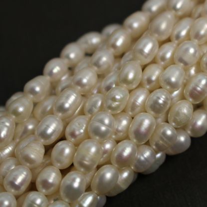Wholesale Freshwater Pearl Strand 7-9mm Creamy White Oval Pearls, Wholesale Pearls for Beading and Jewelry Making