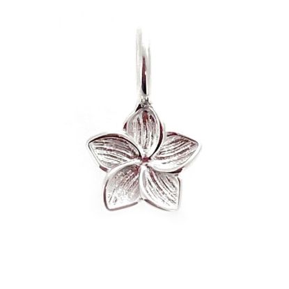 Sterling Silver Frangipani Flower Charm
