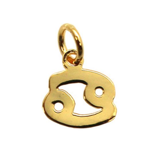 Wholesale Gold Over Sterling Silver Horoscope Charms, Zodiac Sign Pendants (1 pc)