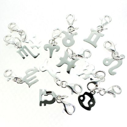 Wholesale 925 Sterling Silver Zodiac Sign Horoscope ADD ON Charms with Clasp