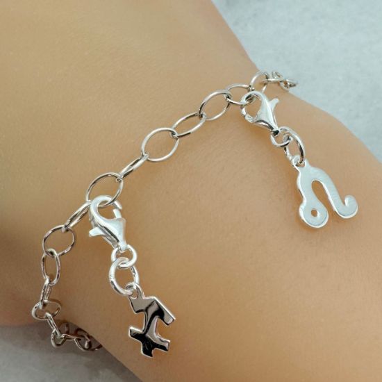Wholesale 925 Sterling Silver Zodiac Sign Horoscope ADD ON Charms with Clasp