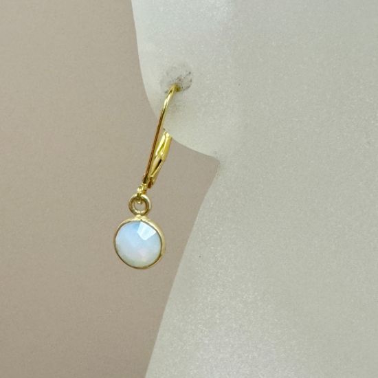 Wholesale Gold over Sterling Silver Lever Back Earrings with 6mm Round Bezel Birthstone 